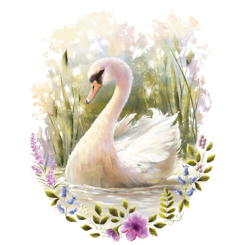 White swan in water with flowers.