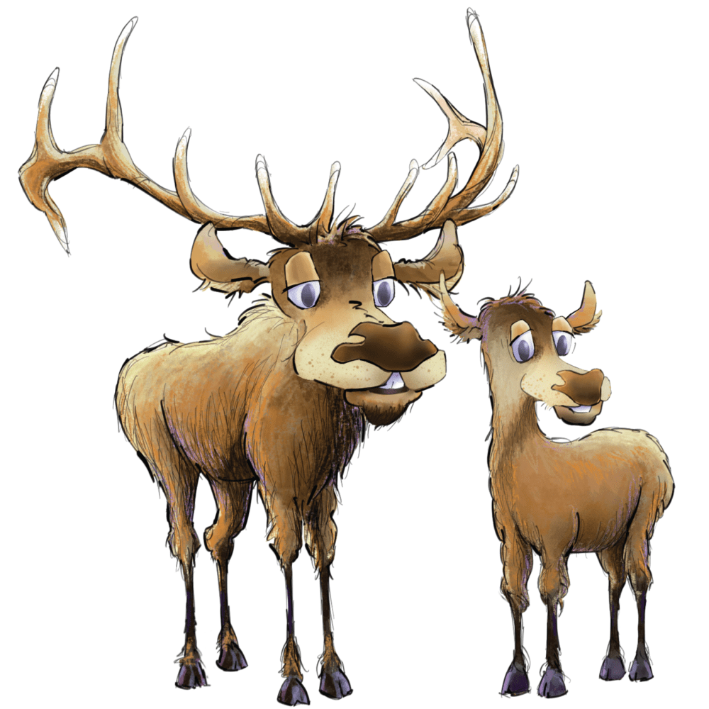 Elk